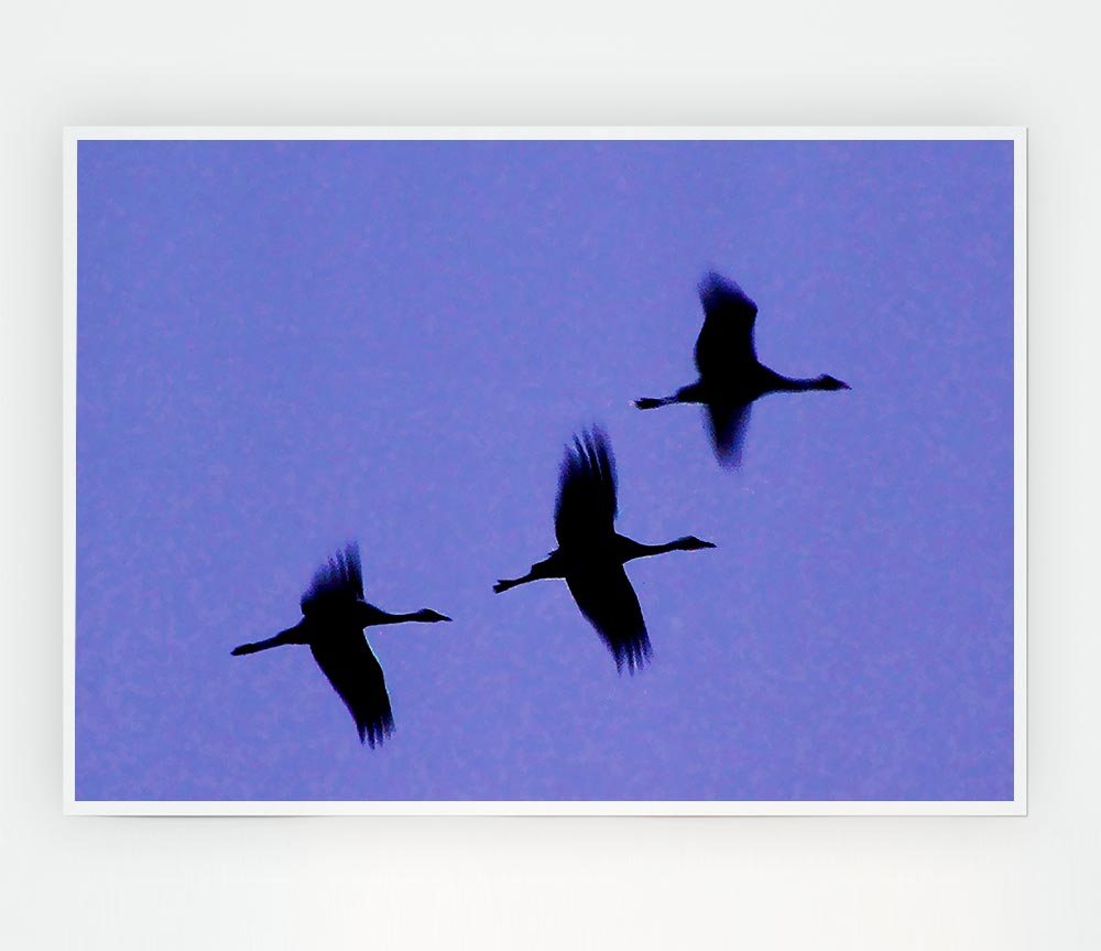 Geese Trio In Flight Purple Print Poster Wall Art