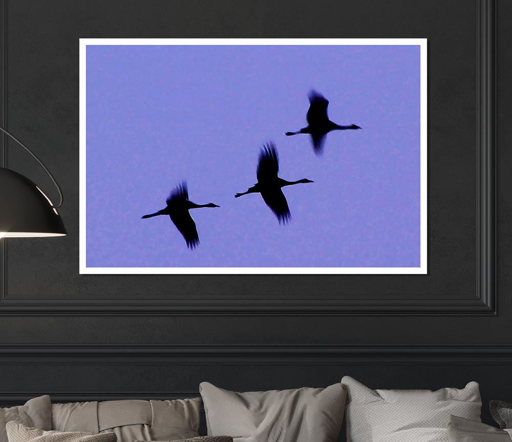 Geese Trio In Flight Purple Print Poster Wall Art