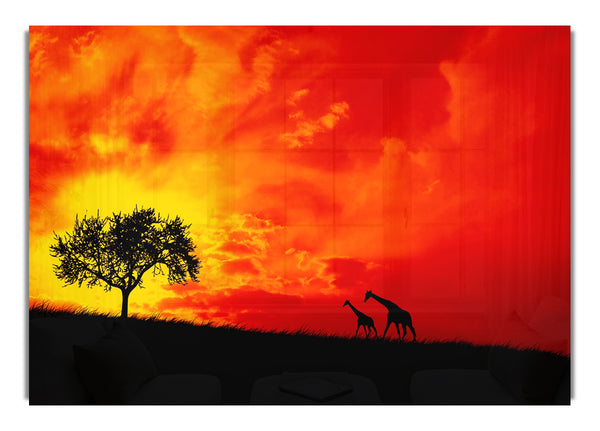 Safari Sunset 1