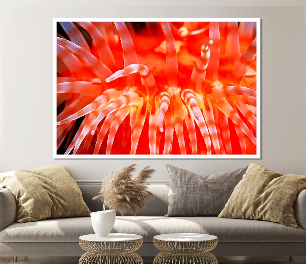 The Sea Of Life Print Poster Wall Art