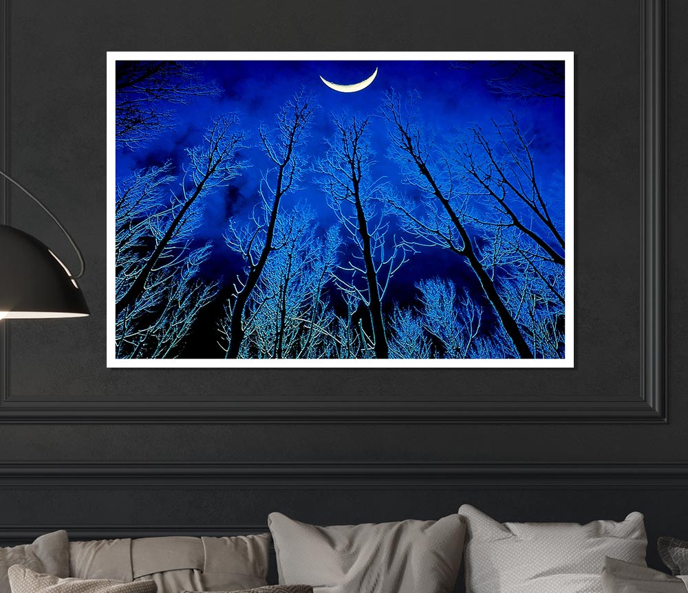 Forest By Moonlight Print Poster Wall Art