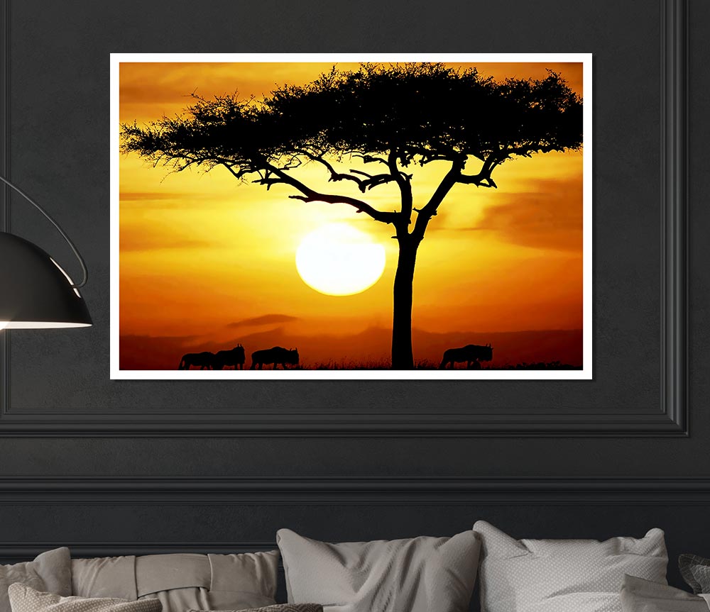 African Safari Tree In Sunlight Print Poster Wall Art