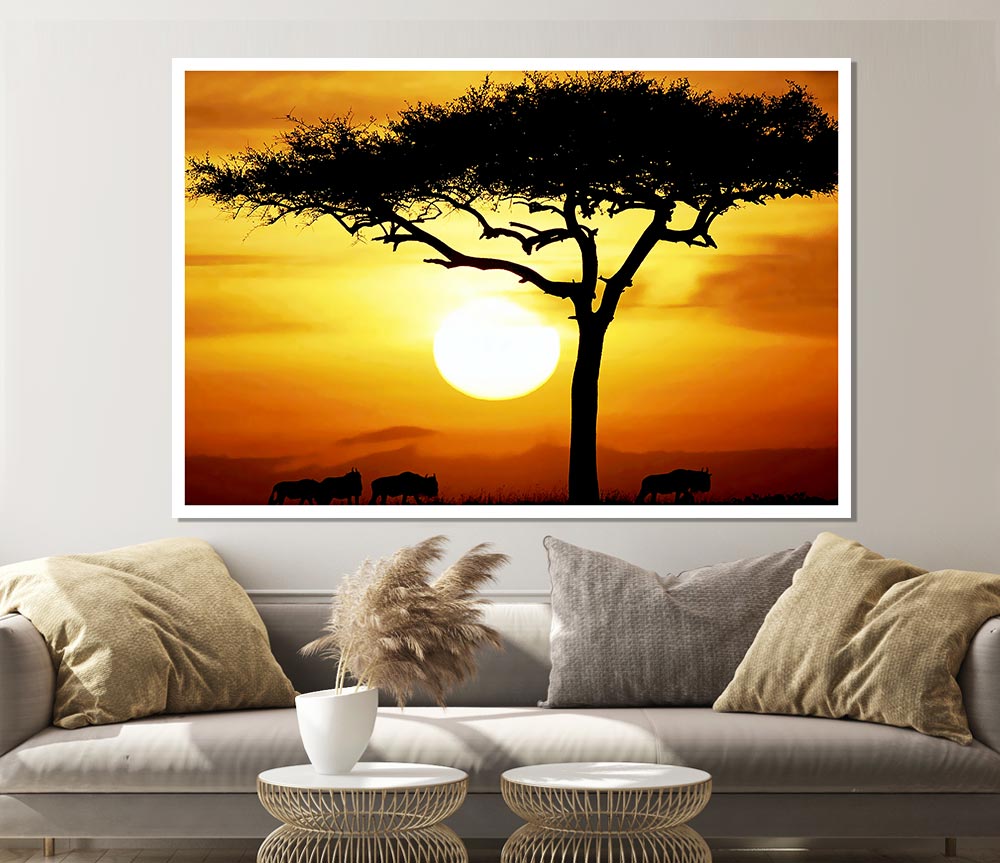 African Safari Tree In Sunlight Print Poster Wall Art