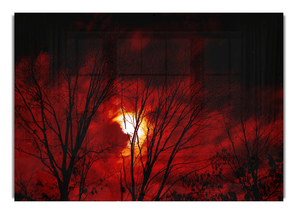 Red Moonlight