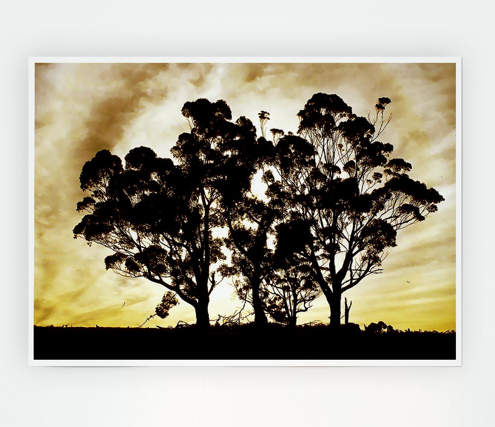 Chocolate Trees Print Poster Wall Art