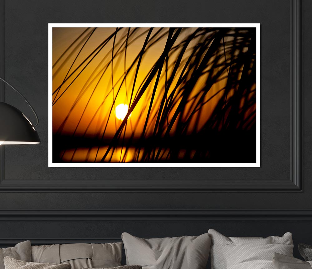 Golden Sun Through The Reeds Print Poster Wall Art