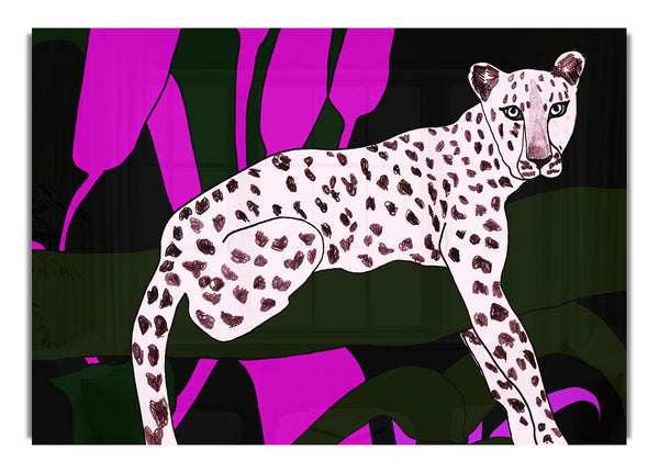 Pink Leopard Spots