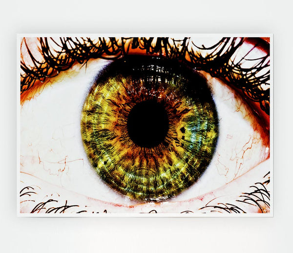 Big Eye Print Poster Wall Art