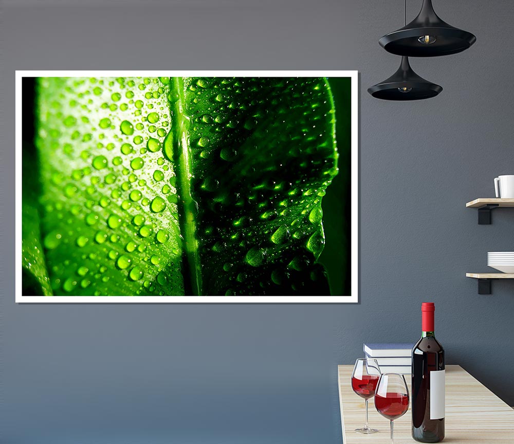 Green Leaf Dew Drop Print Poster Wall Art