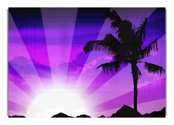 Purple Palmtree Sunrays