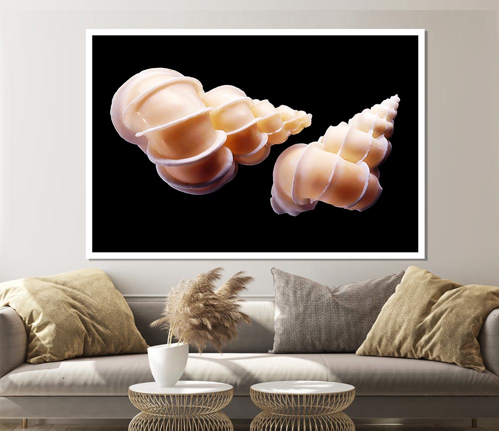 Beautiful Shell Duo Print Poster Wall Art