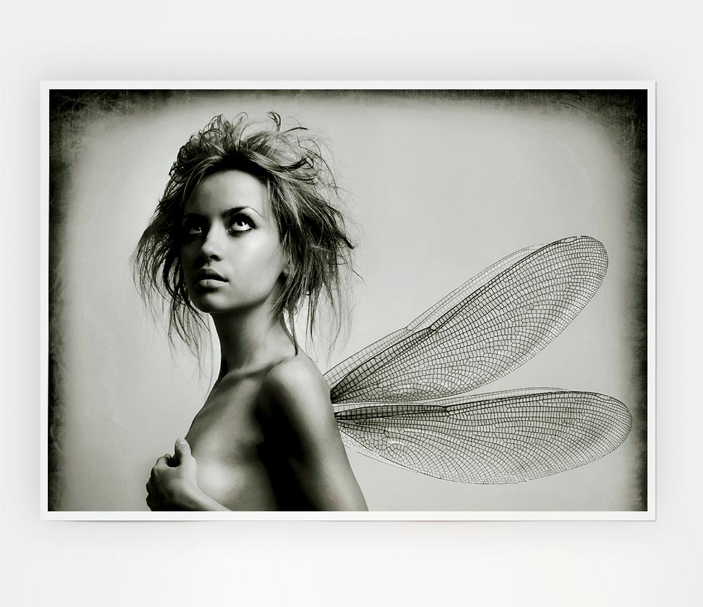 Exotic Fairy Wings Close Up Print Poster Wall Art