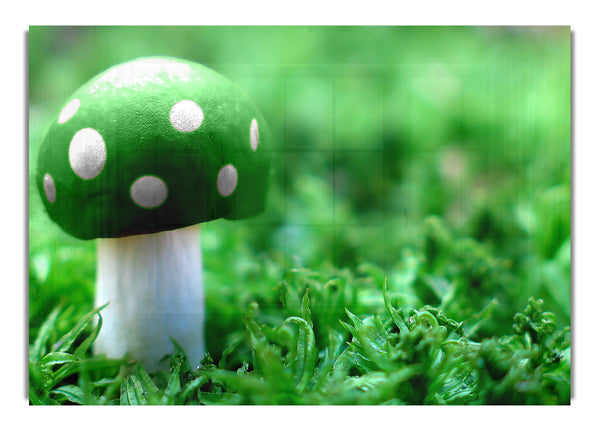 Green Mushroom