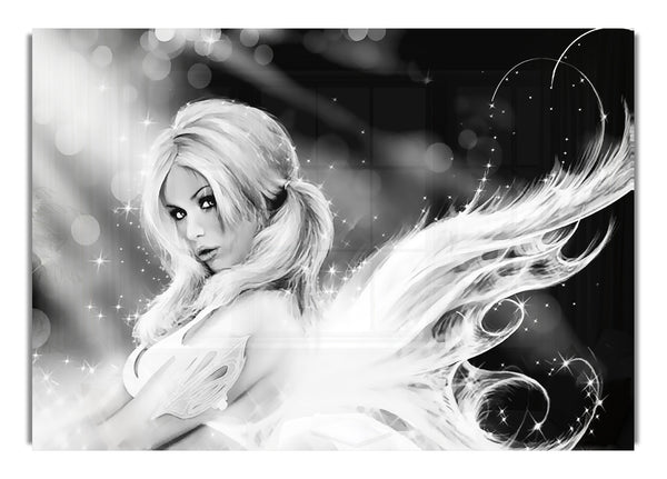 Beautiful Fairy B~w