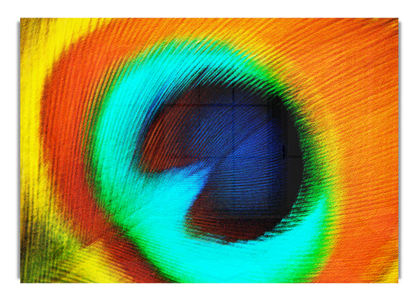 Peacock Feather Eye Close Up