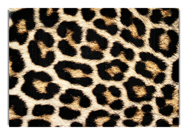 Cheetah Skin 1