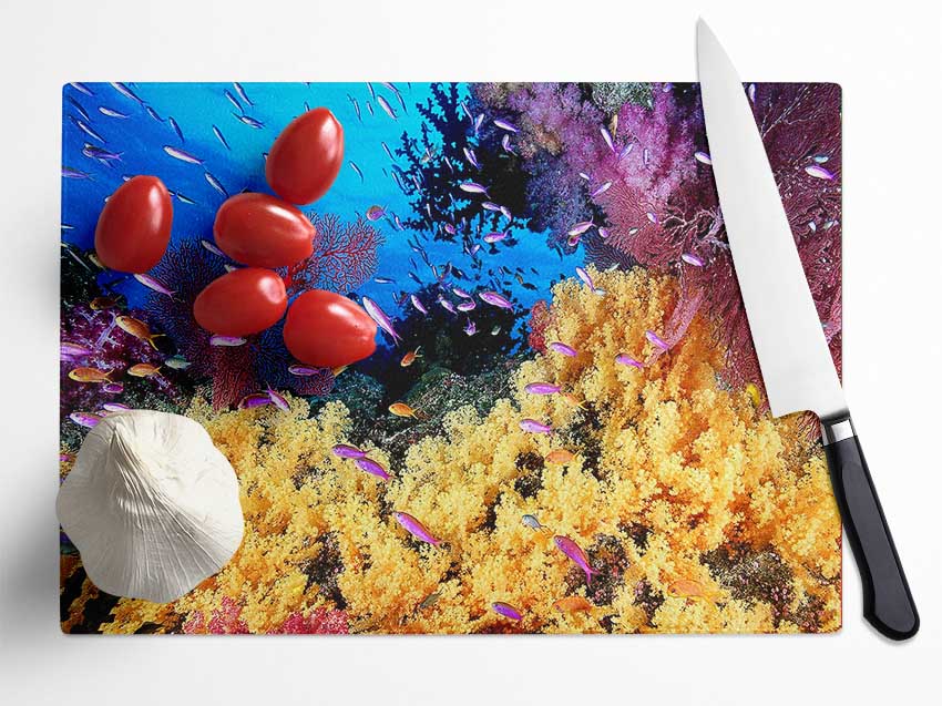 The Oceans Colour Glass Chopping Board