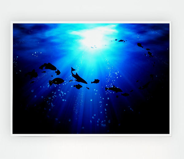 Life Under The Ocean Print Poster Wall Art