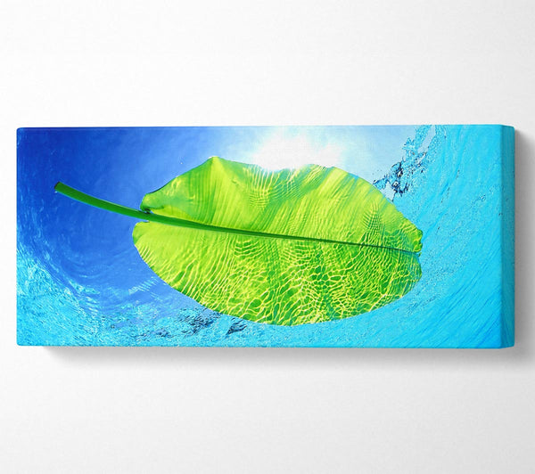 Blue Waters Of A Green Leaf