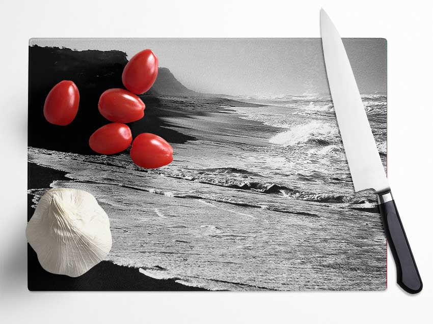 B n W Ocean Spray Glass Chopping Board