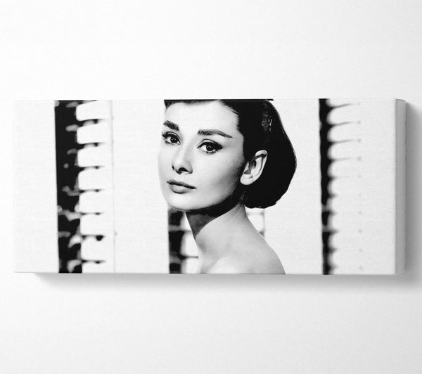 Audrey Hepburn