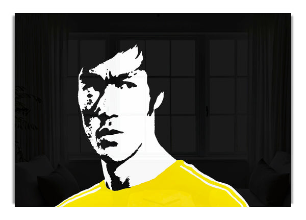 Bruce Lee Drache