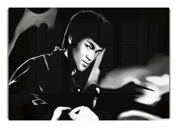 Bruce Lee Drache 1