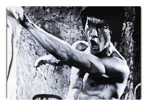 Bruce Lee - Faust der Macht