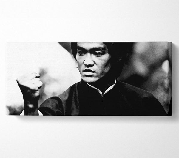 Bruce Lee Power Of One