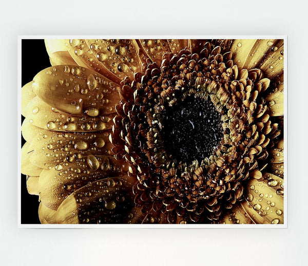 Gerbera Vintage Print Poster Wall Art