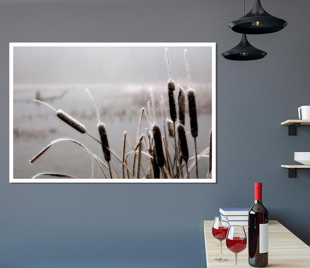 Frosted Cattails Print Poster Wall Art