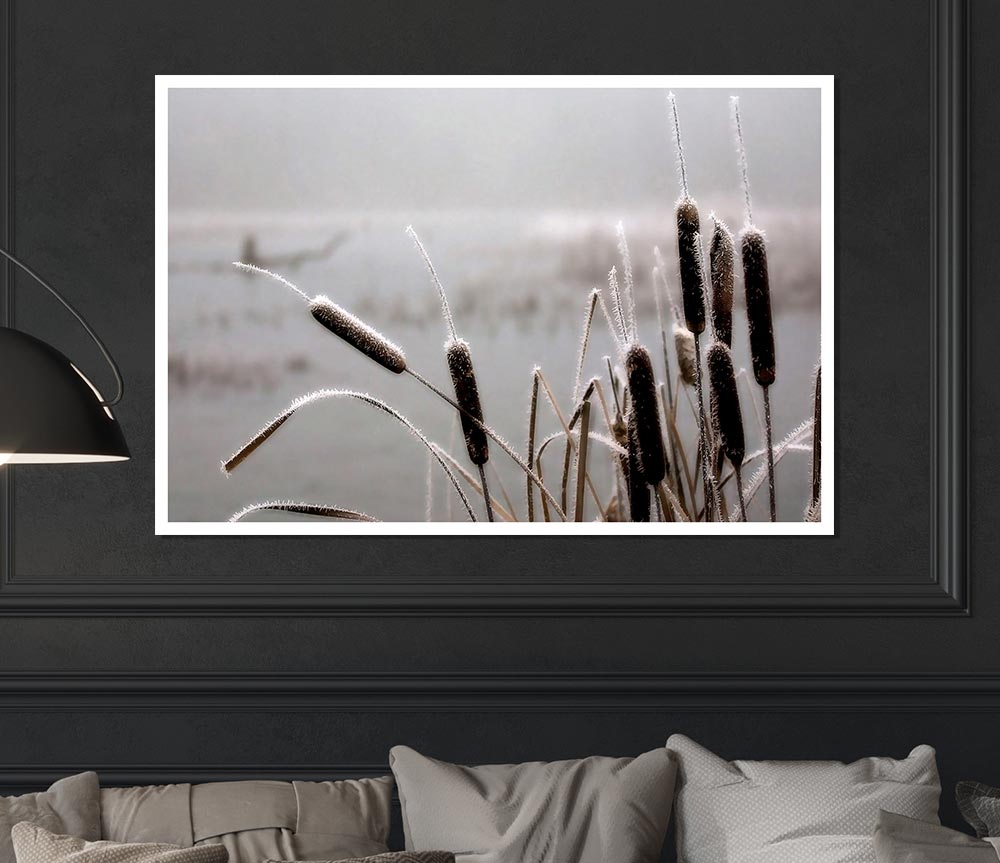 Frosted Cattails Print Poster Wall Art