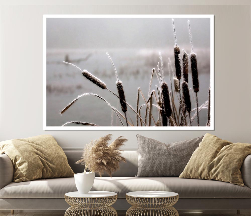 Frosted Cattails Print Poster Wall Art