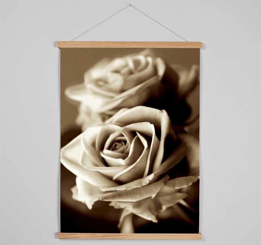 Sunning Sepia Roses Hanging Poster - Wallart-Direct UK