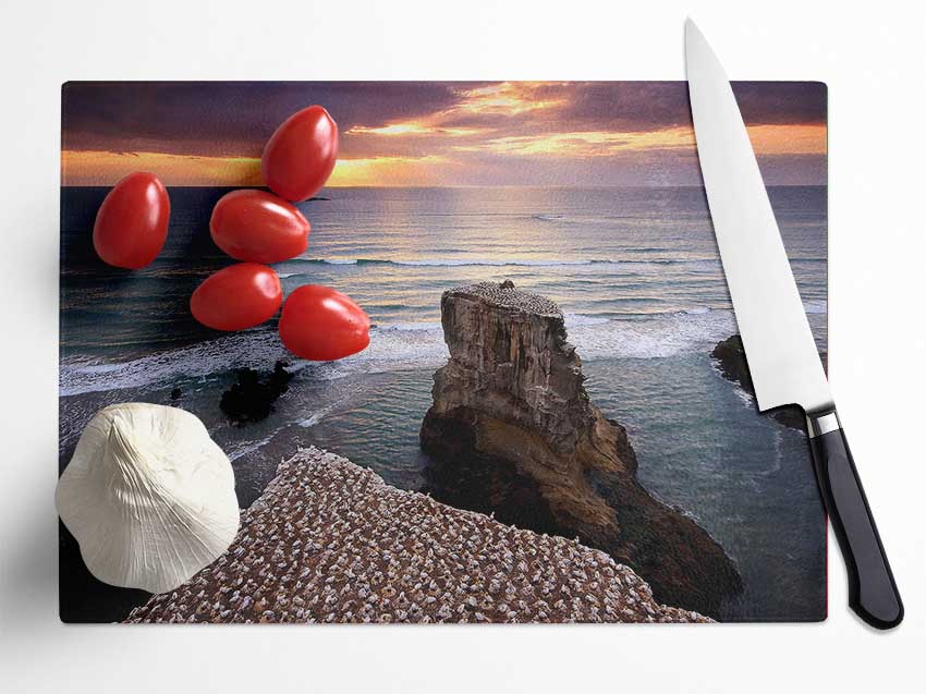 Gannet Colony Glass Chopping Board