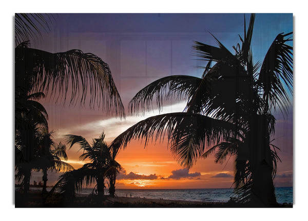 Palm Trees On The Beach Sunset