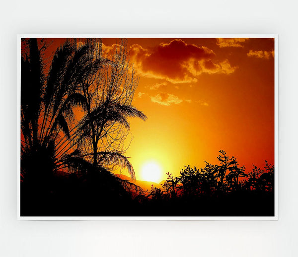 Beautiful Sunset Trees Print Poster Wall Art