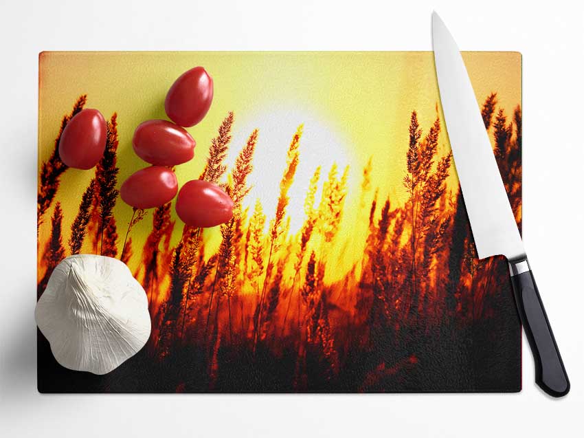 Beautiful Sun Rise Reeds Glass Chopping Board