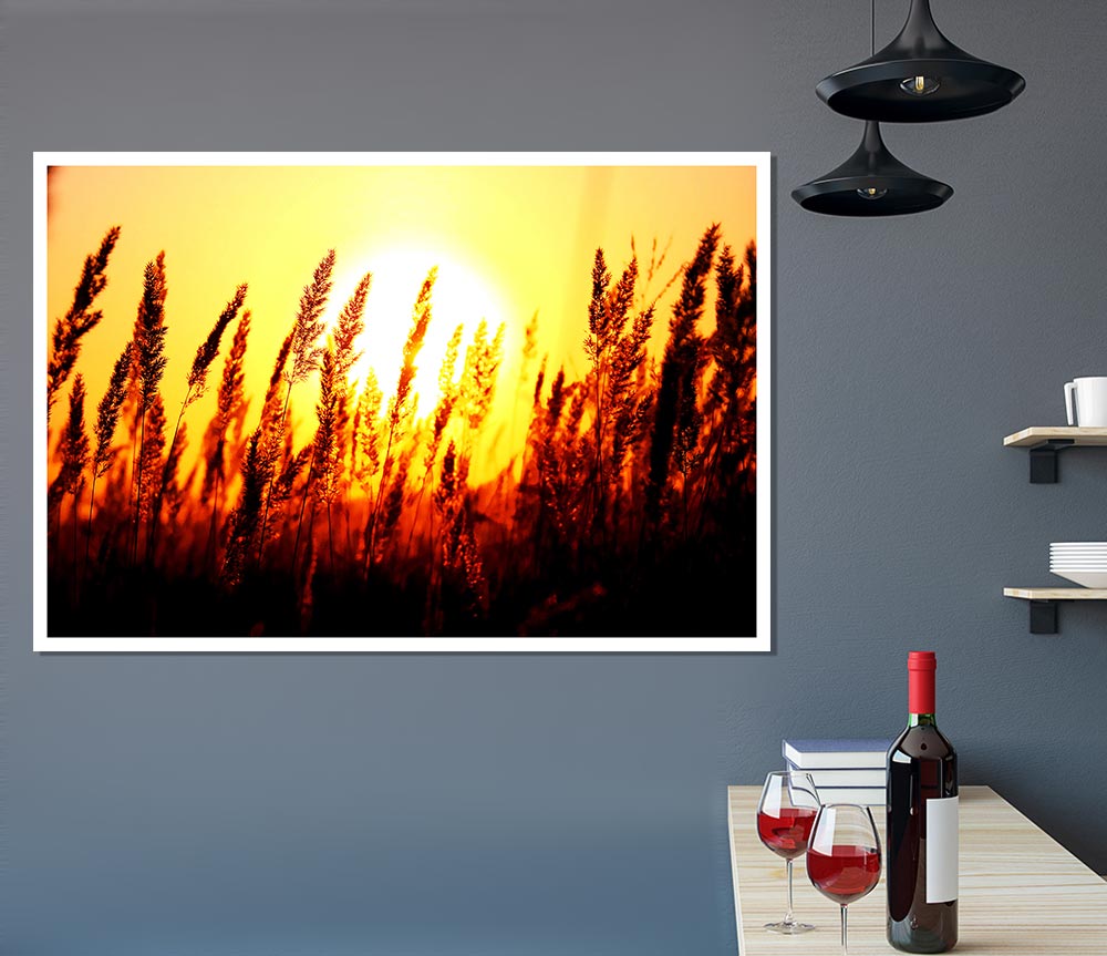 Beautiful Sun Rise Reeds Print Poster Wall Art