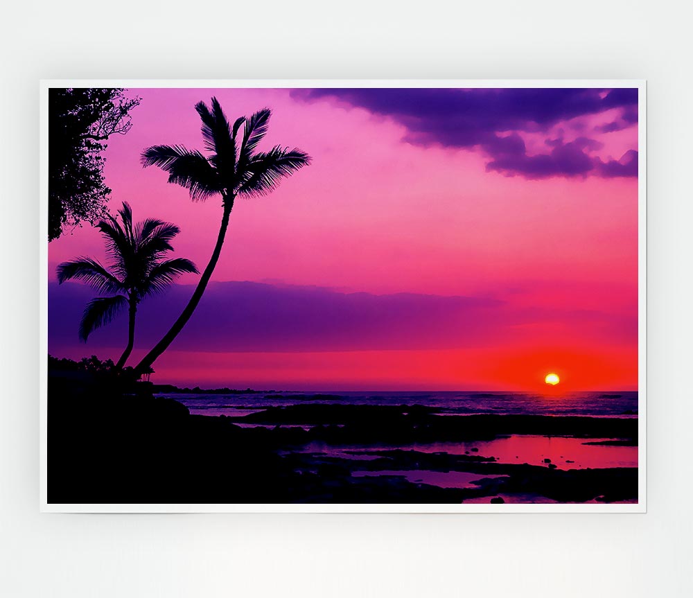 Blaze Of The Palmtree Sun Print Poster Wall Art