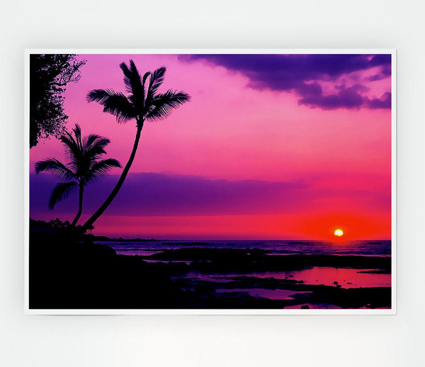 Blaze Of The Palmtree Sun Print Poster Wall Art