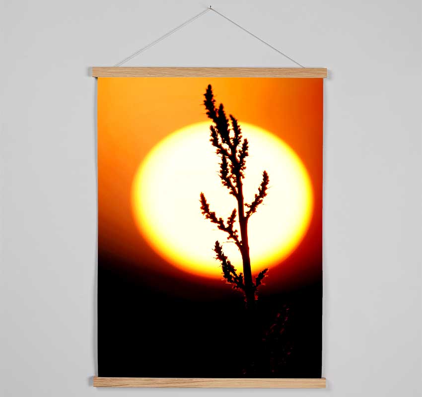 Stunning Sun Glow Orange Hanging Poster - Wallart-Direct UK