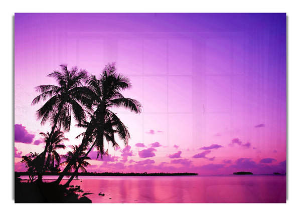 Pink Palm Tree Ocean