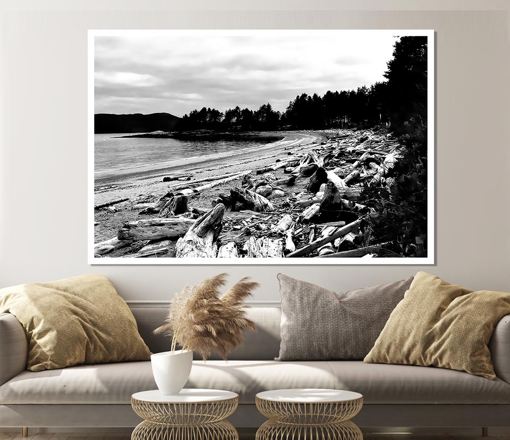 Black And White Driftwood Ocean Print Poster Wall Art