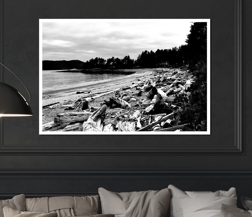 Black And White Driftwood Ocean Print Poster Wall Art