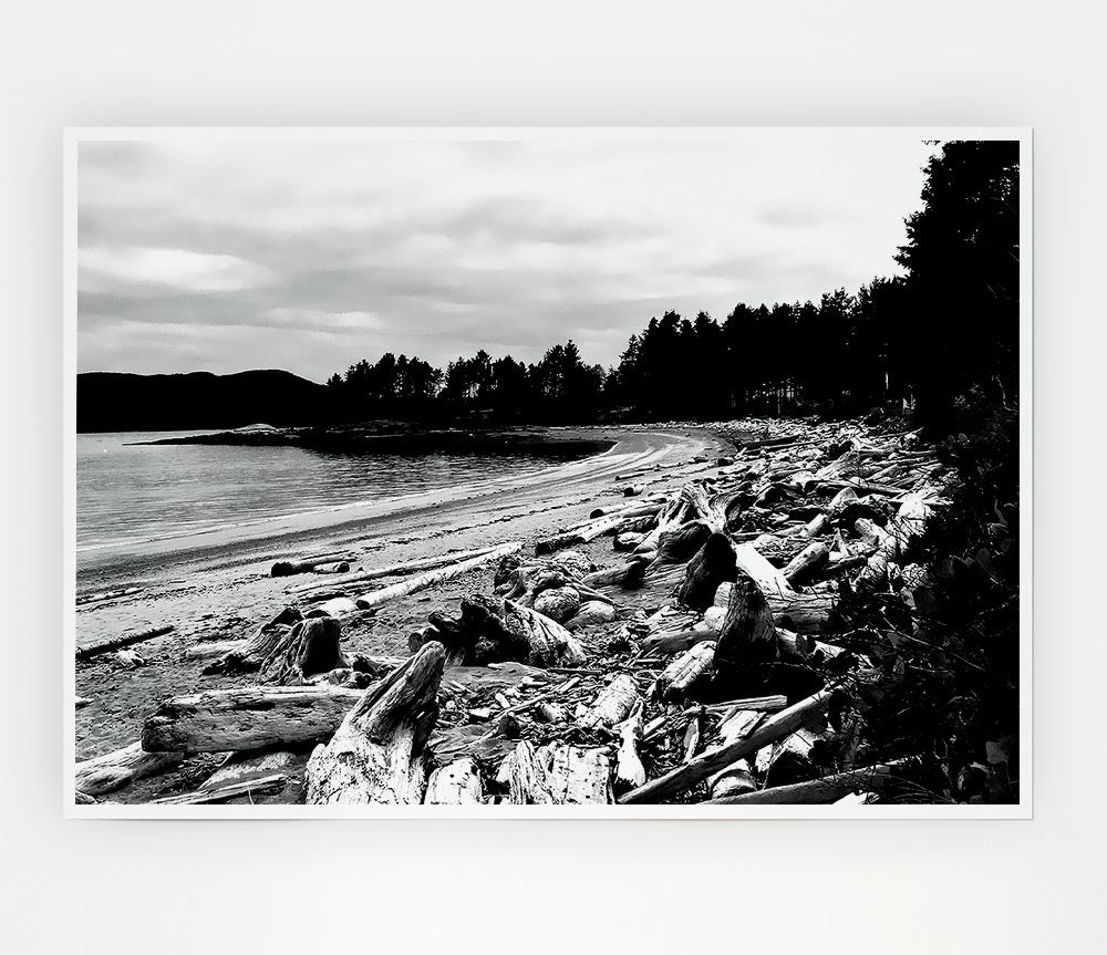 Black And White Driftwood Ocean Print Poster Wall Art