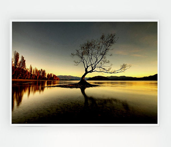 Lonely Lake Tree Print Poster Wall Art