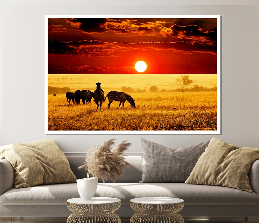 Zebras In The African Sun Print Poster Wall Art