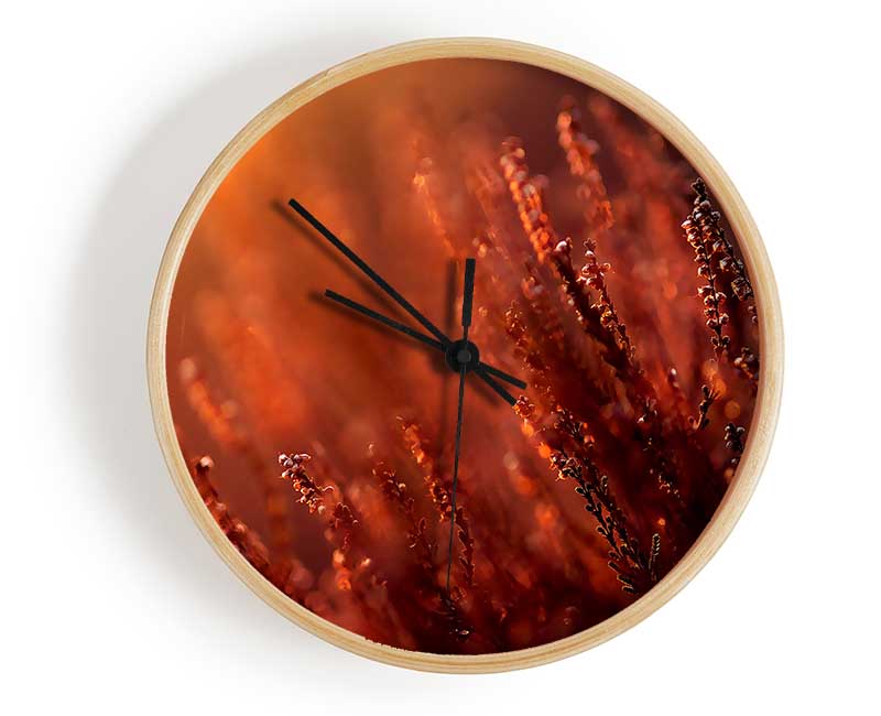 Sun Glare Clock - Wallart-Direct UK