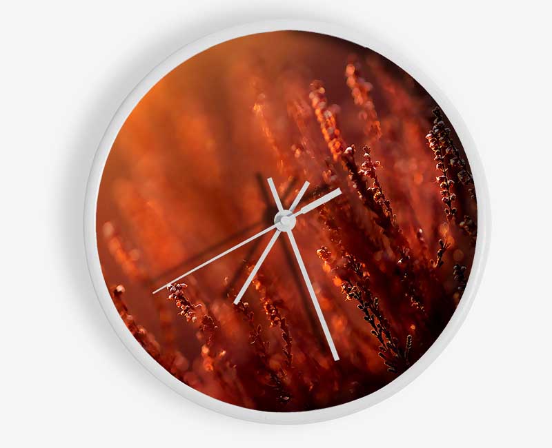 Sun Glare Clock - Wallart-Direct UK